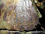 179.jpg