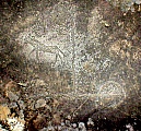 183.jpg