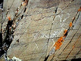 187.jpg
